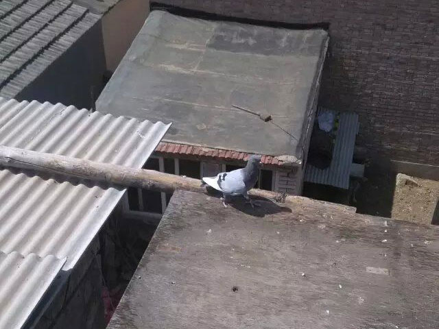 �ҵı������ʸ롱������(ͼ)