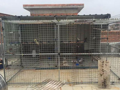 ��������Ϊ��������(ͼ)