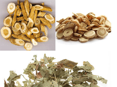 �Դ������ٲ������³���(ͼ)