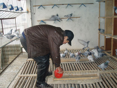 ι��ʱ���м���