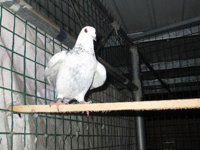 �ʸ�ѵ�� �����˲Ż���