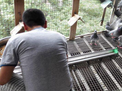 �����߷ã����ݸ���Ҧ��(ͼ)