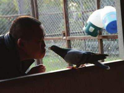 �ɶ����Ѳܾ������Ÿ롰�ξ���(ͼ)