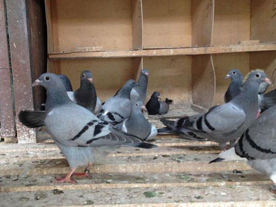 ����֮������ǿ���ø���֮����