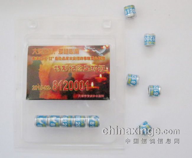 ������Ƽ��