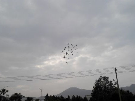 �ң�����˽ѵ��16���(ͼ)