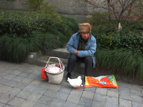 ���֣�����ſ�Ҫ��ʮ��룿