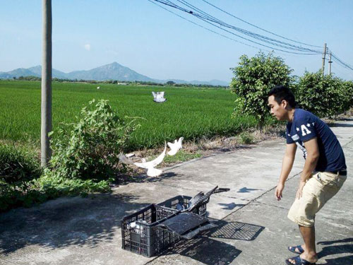 ѵ20�������5��(ͼ)