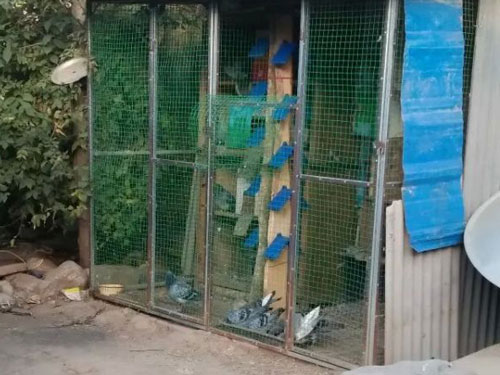 ����˳�ģ��ҵļ�ª����(ͼ)