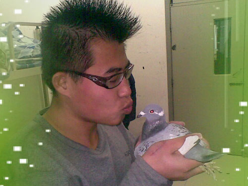 90�󣺷ɲ��õķ�������Ȼ��(ͼ)