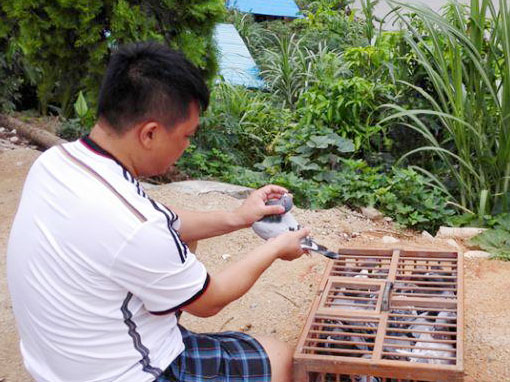 ���ӵ����ѵ��(ͼ)