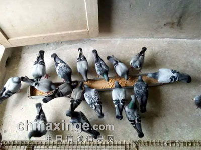 ���ļ���������(ͼ)