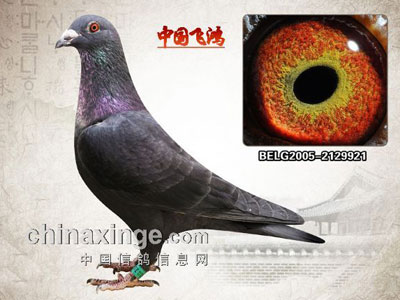 ����ʱԭ��������ɫ����(ͼ)