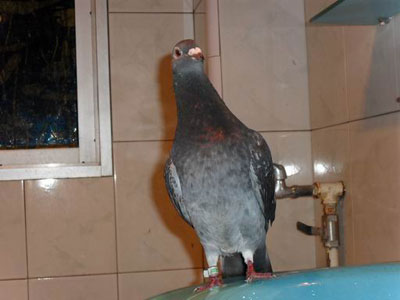 �벡��Ϯ ����Ȱ�ұ��