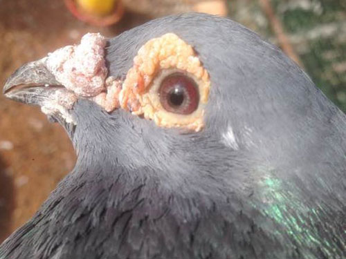 զ���������������Ĵ��������(ͼ)