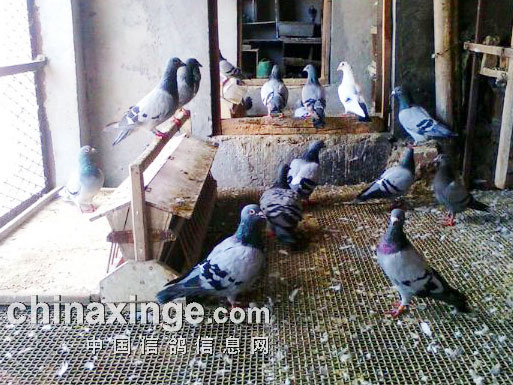 �ҵĸ����ҵġ�����(ͼ)