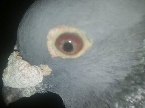 զ������06���ϸ������(ͼ)