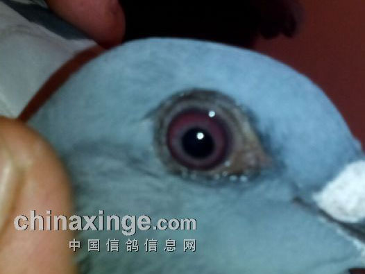 С�����л��ϡ������˷硱(ͼ)