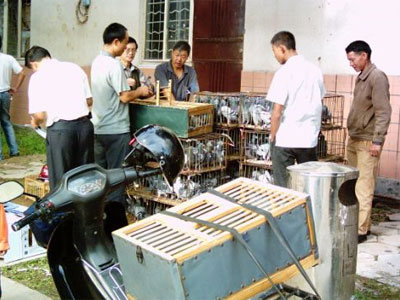 ����Ϊ�ǻ�Ա��ѵ�������Ἦ