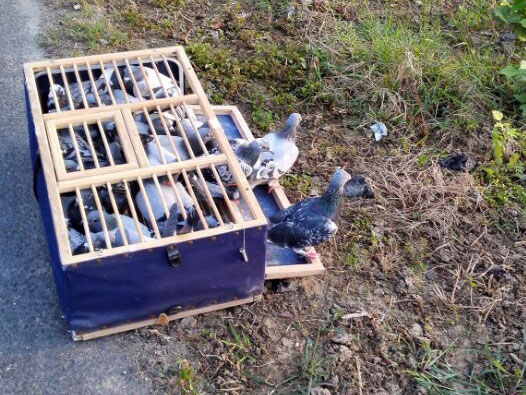 ��վ��5���� �е㲻��Ӧ(ͼ)