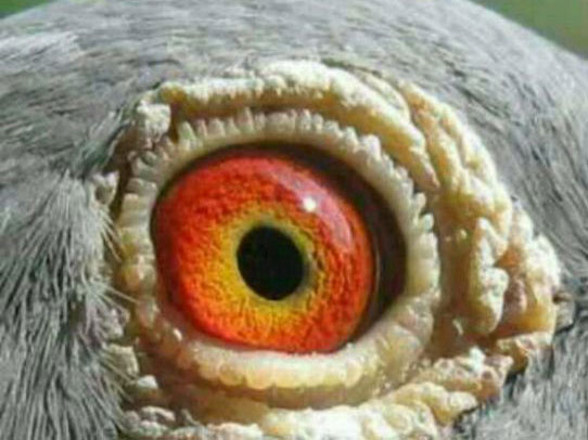 ֵ��һǧԪ��һ�Ը��ӣ�(ͼ)