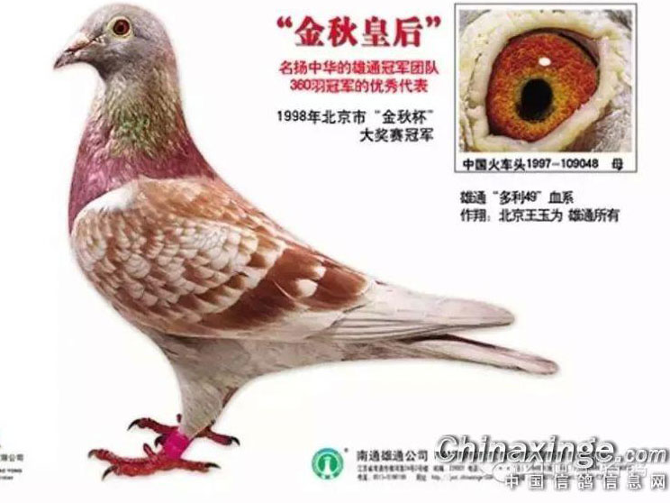 �ձ��е����⣺��筴��Ŵ�����(ͼ)