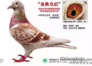 �ձ��е����⣺��筴��Ŵ�����(ͼ)