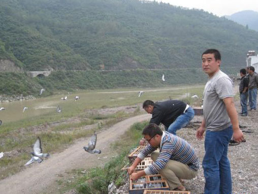 �����У������10����(ͼ)