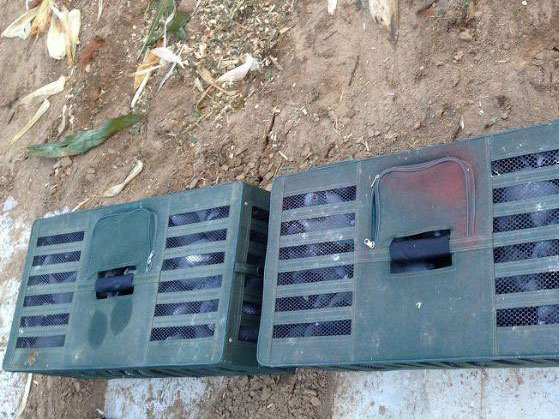 �����³� ��һ��û�ȸ�(ͼ)