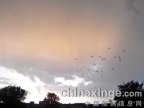 �򡰸��ӵò��������ܹ���Ԥ��