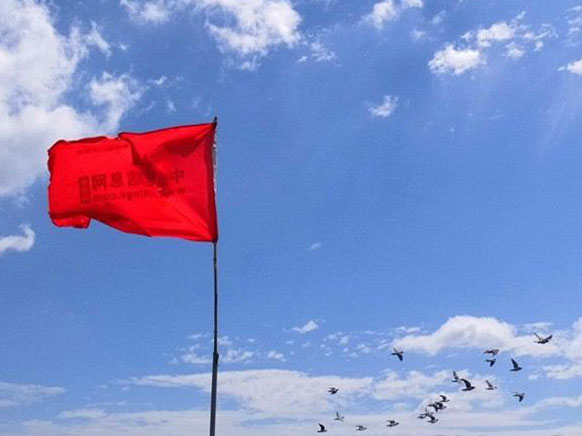 ������������(ͼ)