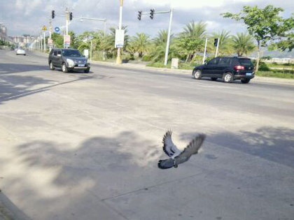 ��·ѵ�룺�����ܳ�����(ͼ)