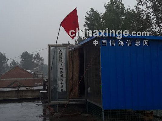 ����ǰ����ԣ�����æµ�˸���(ͼ)