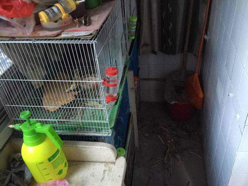 ������ô��ƣ�(ͼ)