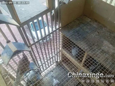 ������᣺�����ֻ���װ�ɼ��(ͼ)