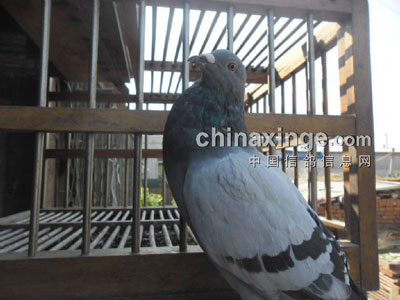 �ٹ���ҹĹģ�����ʲô����(ͼ)