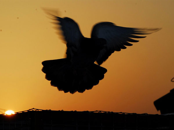 �������֣�ʲô����ȴ��λ����