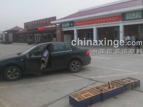 ����������Ǹ���(ͼ)