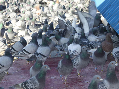 Խ��Խ�죺�ҵĹ����ɵ�զ����