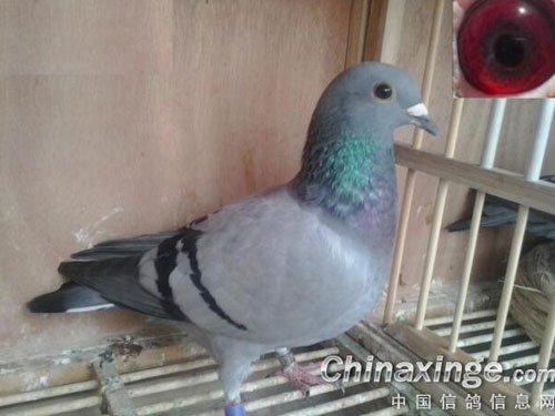 ������˵�еġ���Ŀ���̡�(ͼ)