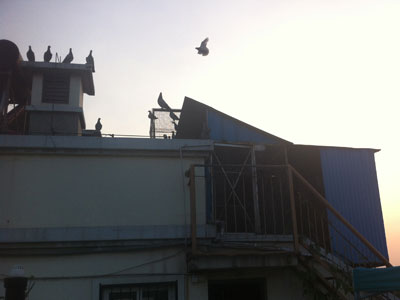 �в�����ѵ��ʤ�����ͷ��