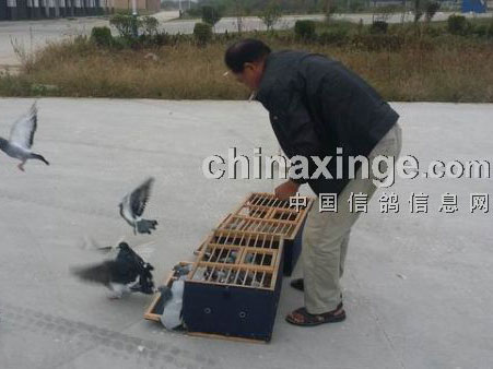 �ﲻס����һ��ѵ������(ͼ)