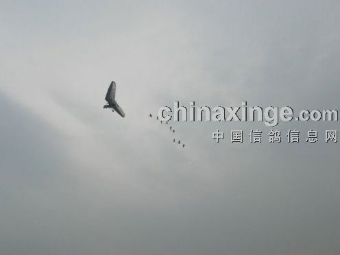 �棺�����������ɣ�(ͼ)