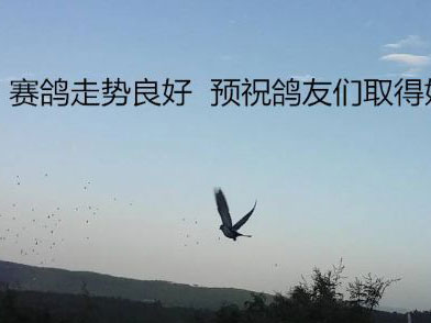 �������繫���һ��ǰ����Ѹ�ٱ���(ͼ)