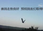 �������繫���һ��ǰ����Ѹ�ٱ���(ͼ)