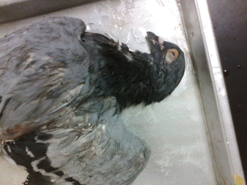 ������λ���������3��ĸ���