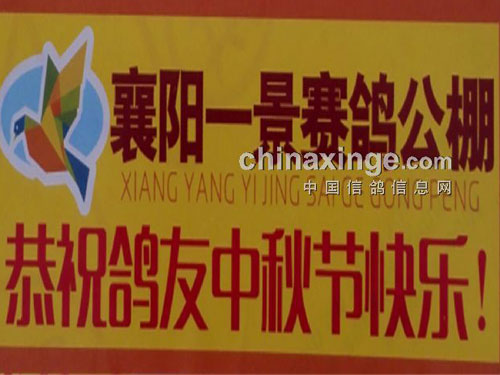 �����Ի�����������������?