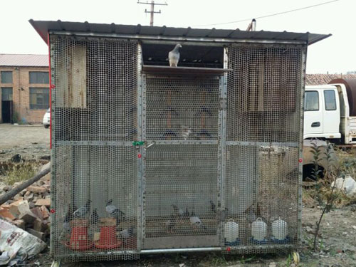 �������콨���¡�С���(ͼ)