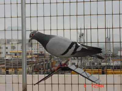 �������˿������䣺���������