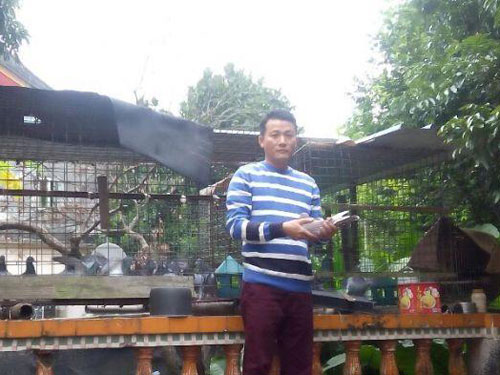 ʵ���ɲ���ҩ���ù㶫ǿ������ΰ(ͼ)